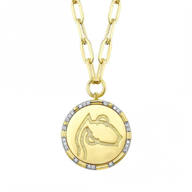 14 AYAR ALTIN KOVA BURCU KOLYE