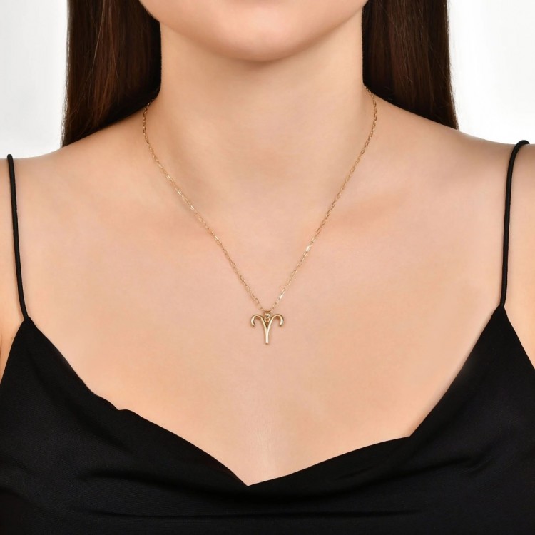 14 AYAR ALTIN ZODYAK KOÇ BURCU KOLYE